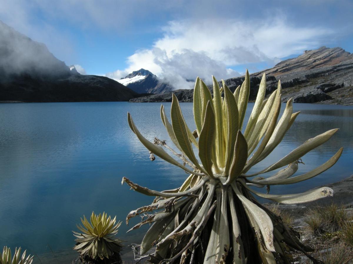 Hostal El Caminante El Cocuy Kültér fotó